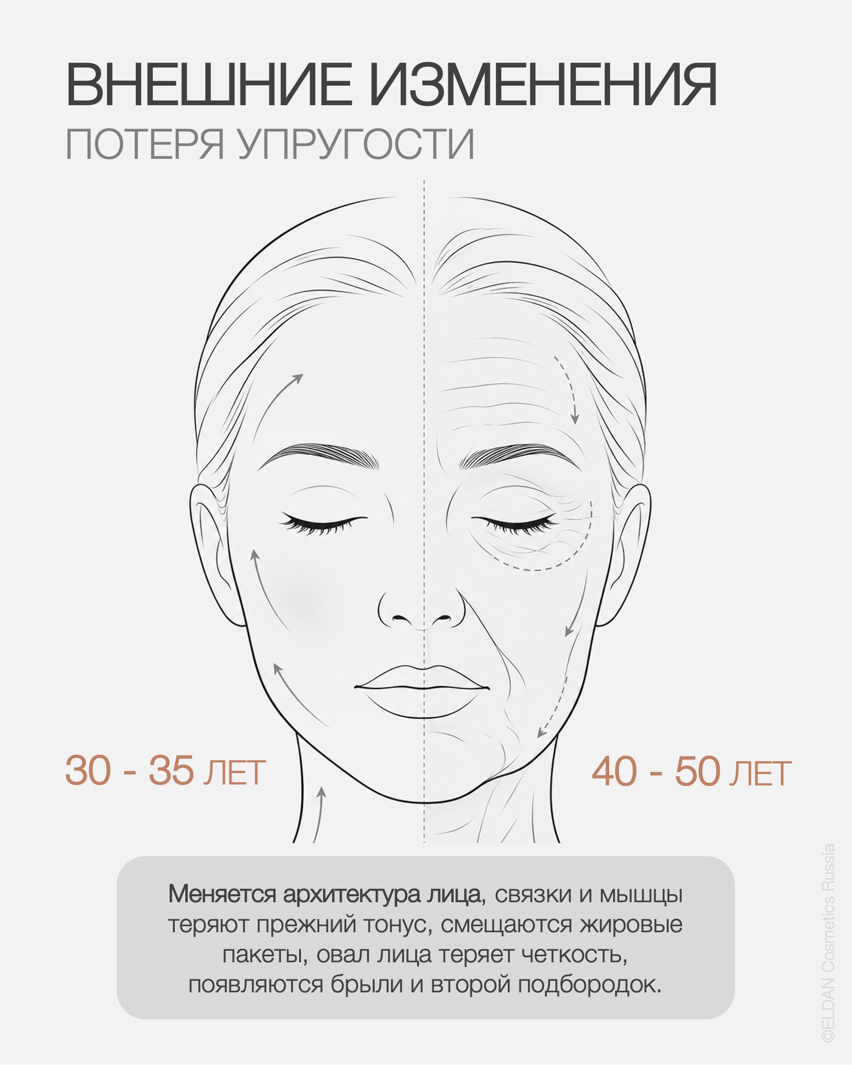 Пост упругость кожи ДМАЭ 2.jpg